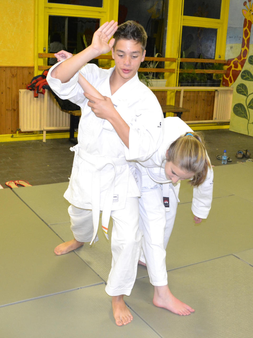 20131100_no-cours_aikijujutsu_2_ex3_0049.jpg